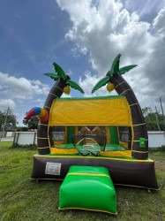571070199 1540600893740611 6107352530674399119 n 1762197846 Jungle Jump Bounce House
