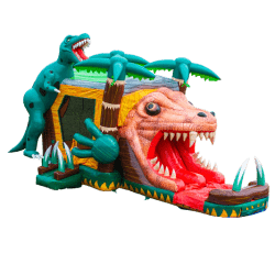 Dinosaur Combo Bounce House